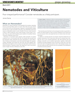 Nematodes